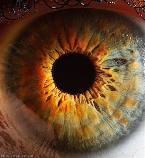 Close Ups Of The Human Eye