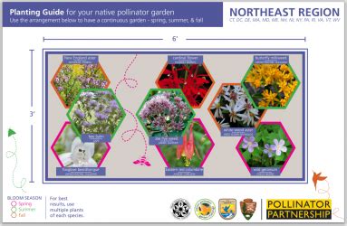 Protect Our Pollinators Delaware Association Of Conservation Districts
