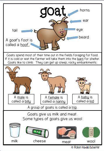 Farm Animals Literacy Posters Anchor Charts Farm Animals