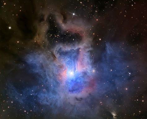 The Iris Nebula A Bright Reflection Nebula Astronomy Orion Nebula