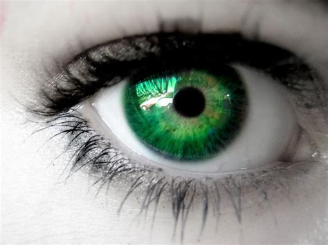 Are Green Eyes Really An Attractive Trait Siowfa16 Science In Our