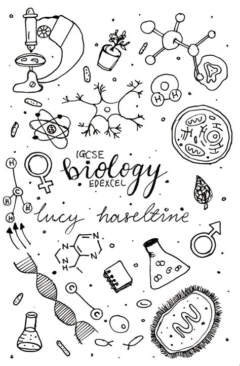 Bio Cover Page In 2022 Bullet Journal Lettering Ideas Paper Art