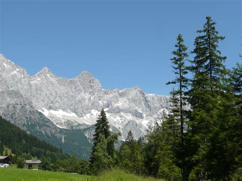 Free Images Landscape Tree Nature Forest Wilderness Sky Meadow