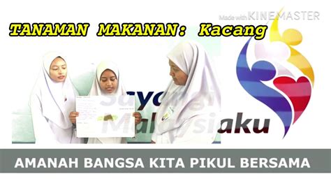 Menurut studi, kacang arab efektif dalam menurunkan kadar gula darah dan meningkatkan sensitivias insulin dibandingkan makanan tinggi karbohidrat lainnya. TANAMAN MAKANAN: Jenis Kacang #pertaniant5 #kssmpertanian ...