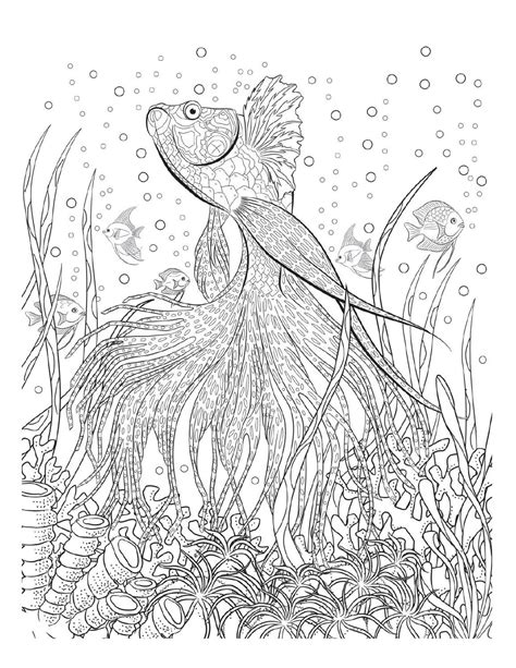 Underwater Coloring Pages For Adults At Free
