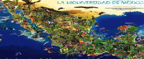 Mapa Biodiversidad En Mexico Gif Dato Mapa