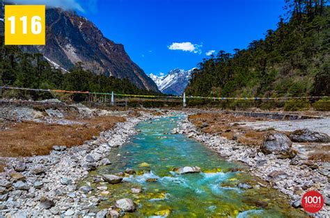 Yumthang Valley Of Flowers Best Time To Visit In 2022