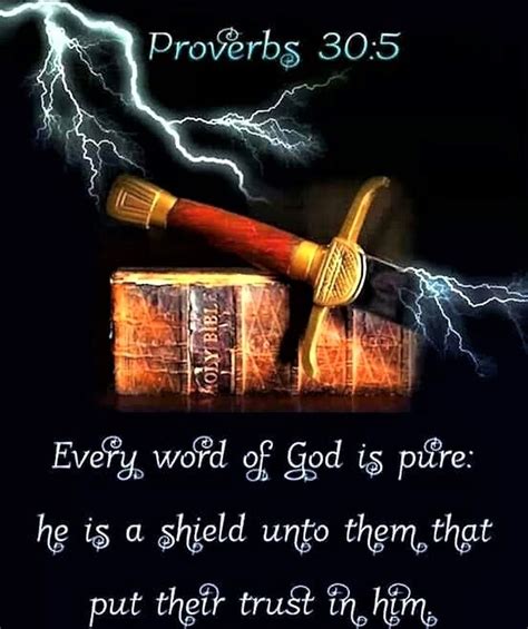 The Living — Proverbs 305 Kjv Every Word Of God Is Pure