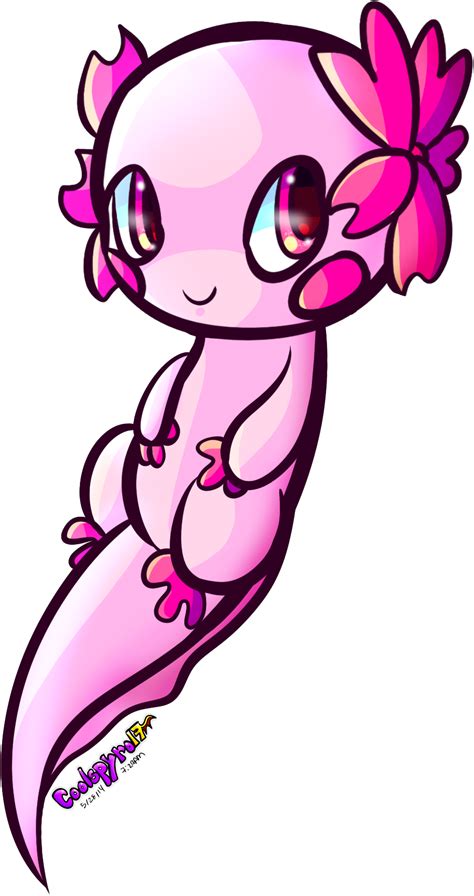 Commission Sakura Axolotl Axolotl Mermaid Drawings Axolotl Pet