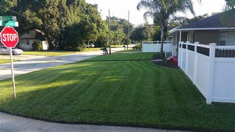 Lawn care is a booming business that's fairly easy to enter. Get Lawn Care Services in Orlando from Ijm Landscaping Llc