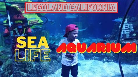 Sea Life Aquarium Legoland California Sandisam Tv Youtube