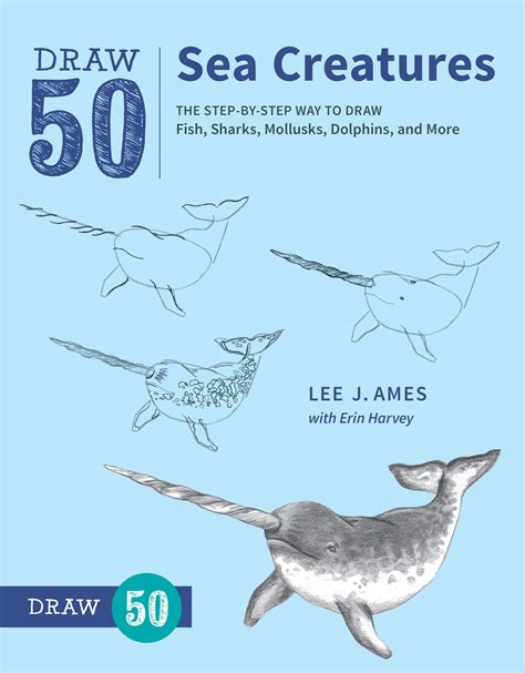 Draw 50 Sea Creatures By Lee J Ames Penguin Books Australia