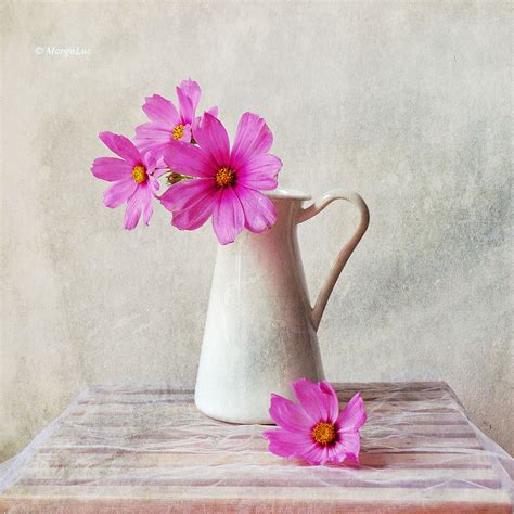 Still Life And Pink Flowers Oil Painting Flowers Flower Painting