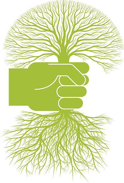 Uprooted Tree Illustrations Royalty Free Vector Graphics And Clip Art