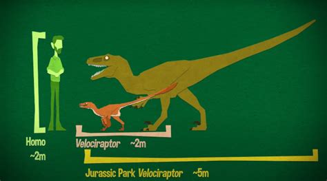 Things Jurassic Park Got Wrong About Dinosaurs Jurassic Park