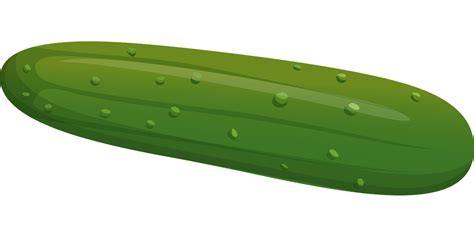 Download Cucumber Vegetable Green Royalty Free Vector Graphic Pixabay