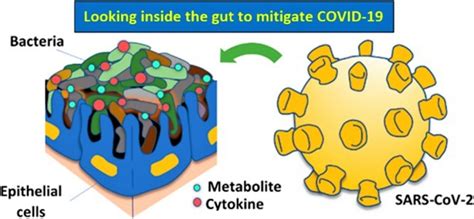Covid 19 And The Gut Microbiome Future Food Systems