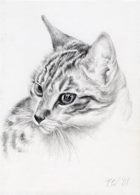 Tabby Cat Portrait Graphite Pencil Drawing Pet Illustration Decor For