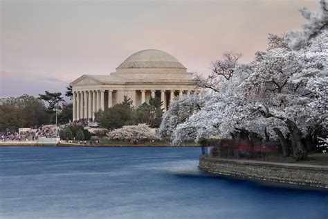 Jefferson Memorial Peak Bloom Washington Dcs Jefferson Me Flickr