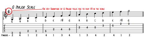 How To Learn The Notes On The Guitar Neck Learning To Play The Guitar