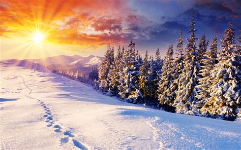 Sunset Mountains Clouds Landscapes Nature Winter Snow Trees Skyline