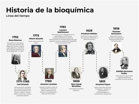 Linea De Tiempo Desarrollo Historico De La Bioquimica Images And