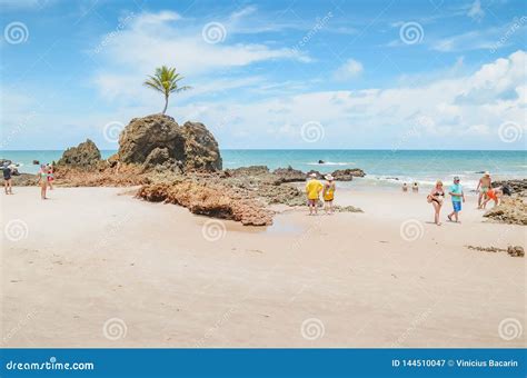 Praia De Tambaba Conde PB Brazil Editorial Photography Image Of