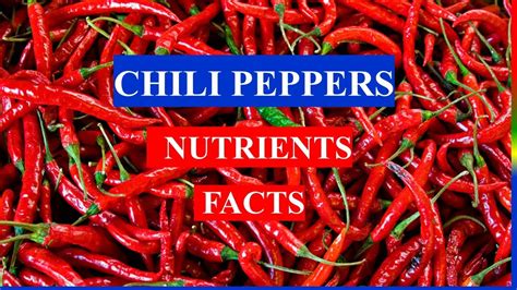 Chili 🌶️ Peppers Spice Health Benefits And Nutrients Facts Youtube