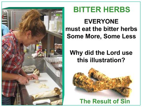 Bitter Herbs Must Be Eaten At The Passover Feasts Of The Lord