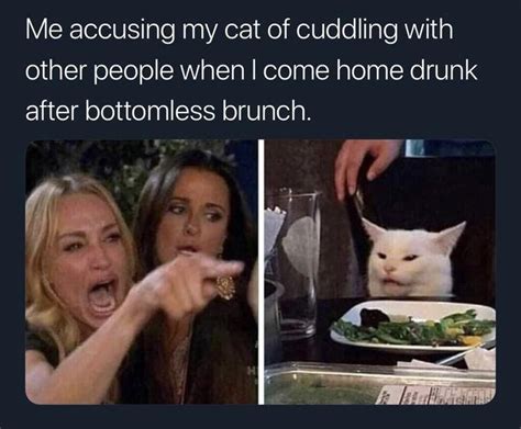 15 Of The Most Savage Woman Yelling At Cat Memes