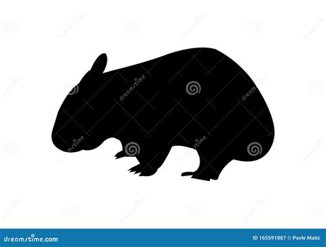 Wombat Icon On White Background Cartoon Vector