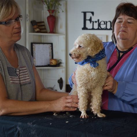 16750 thompson road colorado springs, co 80908. About Us | Pet City Pet Shops | Colorado Springs, Colorado