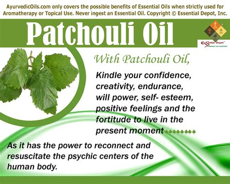 Ayurvedic Health Benefits Of Patchouli Essential Oil Essential Oil
