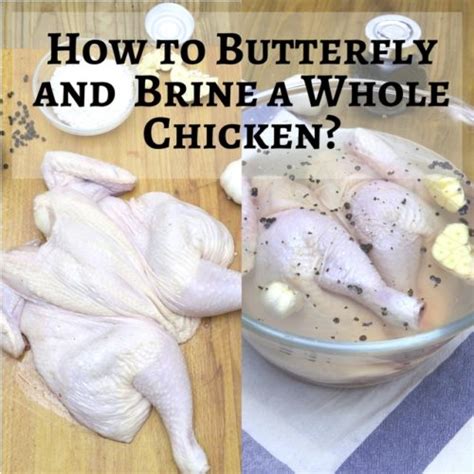 how to butterfly spatchcock and brine a whole chicken foxy folksy