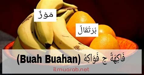 Sayur dan buah dapat membuat tubuh sehat dan melindungi kita dari berbagai macam penyakit. 40 Kosakata Bahasa Arab Tentang Buah Buahan Lengkap dan ...