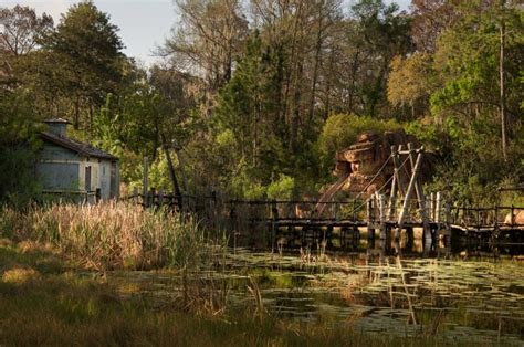 Photos Of An Abandoned Disney World Being Reclaimed By Nature