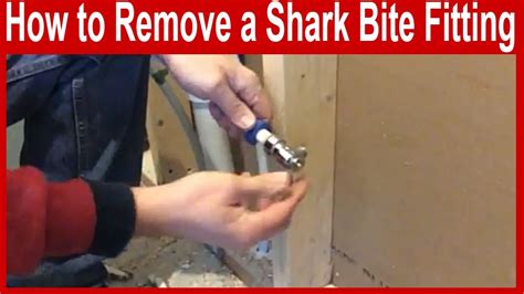 How To Remove A Shark Bite Plumbing Fitting Youtube