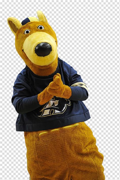 University Of Akron Akron Zips Football Mascot Zippy Halftime