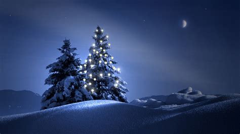 Christmas Tree With Lights Snow Field During Nighttime Hd Christmas