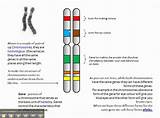 Pictures of Where Can Proteins Be Found