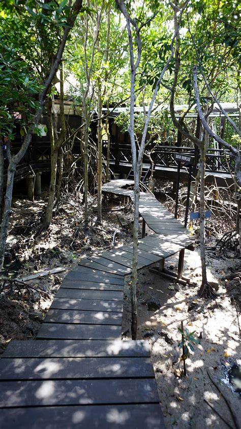 Its mangroves are a fish nursery that supports the local. Taman Negara Johor : Pulau Kukup dan Tanjung Piai - dboystudio