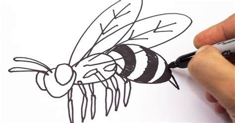 Free Bee Drawing Download Free Bee Drawing Png Images Free Cliparts