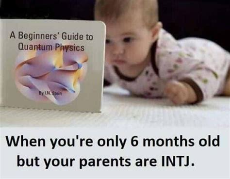Pin By Susanne Silfver On Intj Themastermind And Type 5 Intj Intj And