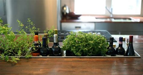 Indoor Herb Gardens And Salad Walls Inspiration