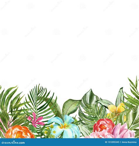 Watercolor Tropical Floral Illustration With Palm Leaf Flowers And