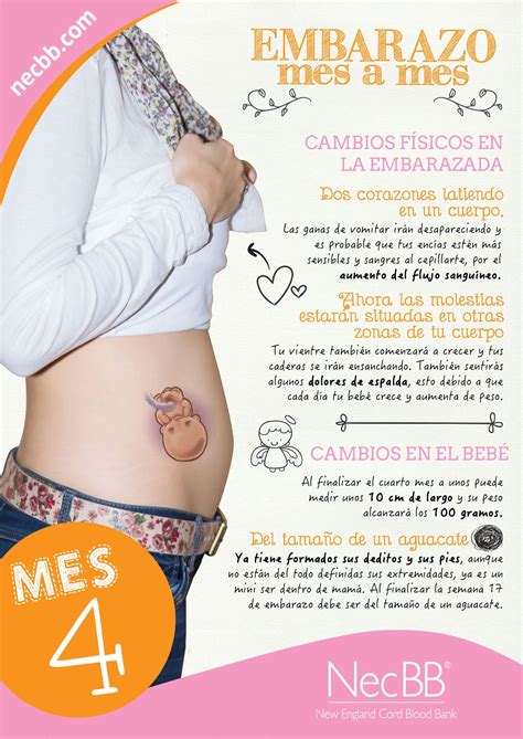 Infograf A Para Pinterest Necbb El Embarazo Mes A Mes Mes Baby