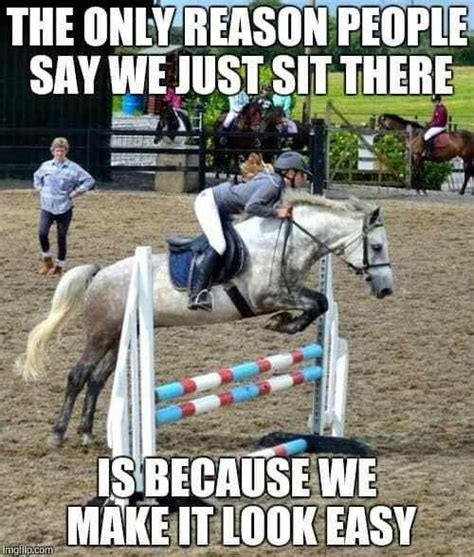 17 Of Our Favorite Equestrian Memes Funny Horse Memes Horse Riding