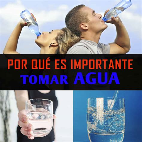 Por que es importante tomar agua La Guía de las Vitaminas