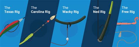 Rig It Right An Expert Guide To The Best Bass Fishing Rigs