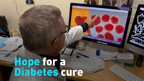 New Technique Shows Promise In The Search For A Type 1 Diabetes Cure